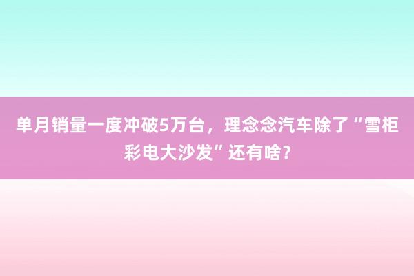 单月销量一度冲破5万台，理念念汽车除了“雪柜彩电大沙发”还有啥？