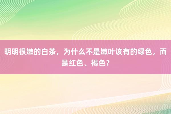 明明很嫩的白茶，为什么不是嫩叶该有的绿色，而是红色、褐色？