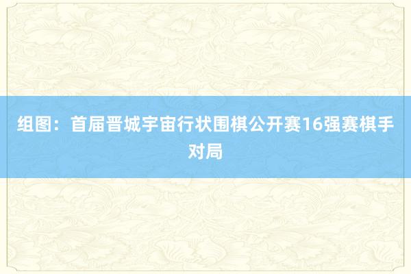 组图：首届晋城宇宙行状围棋公开赛16强赛棋手对局