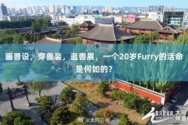 画兽设，穿兽装，逛兽展，一个20岁Furry的活命是何如的？