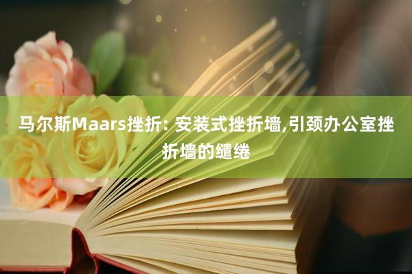 马尔斯Maars挫折: 安装式挫折墙,引颈办公室挫折墙的缱绻