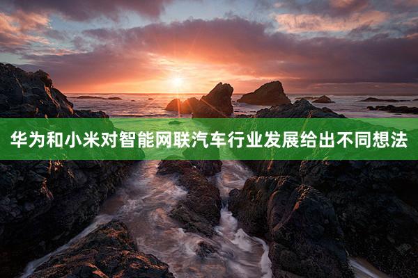 华为和小米对智能网联汽车行业发展给出不同想法