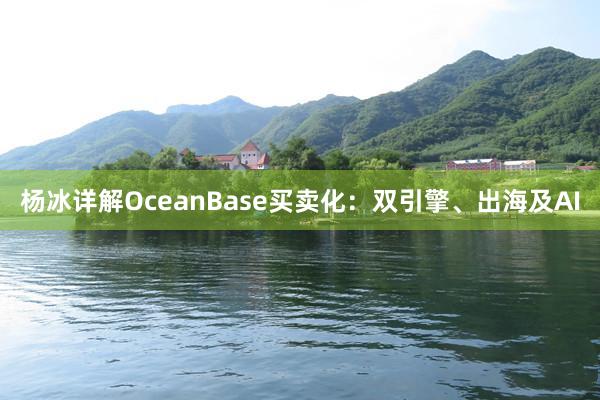 杨冰详解OceanBase买卖化：双引擎、出海及AI