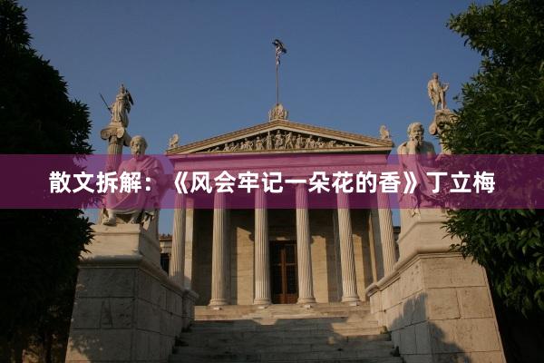 散文拆解：《风会牢记一朵花的香》丁立梅