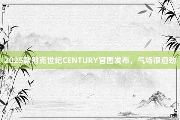 2025款别克世纪CENTURY官图发布，气场很遒劲