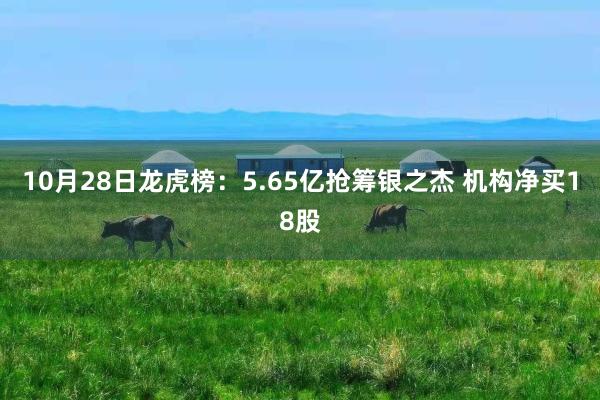 10月28日龙虎榜：5.65亿抢筹银之杰 机构净买18股