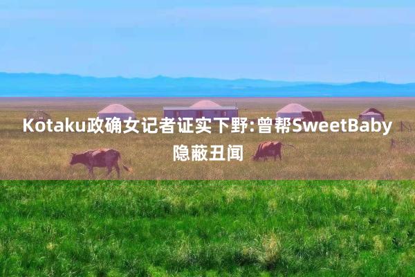 Kotaku政确女记者证实下野:曾帮SweetBaby隐蔽丑闻